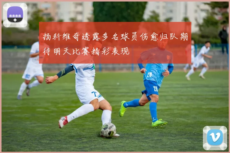 扬科维奇透露多名球员伤愈归队期待明天比赛精彩表现