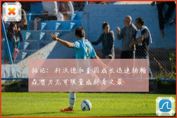 拓记：科沃德和奎因成长迅速杨瀚森潜力无可限量成新秀之最